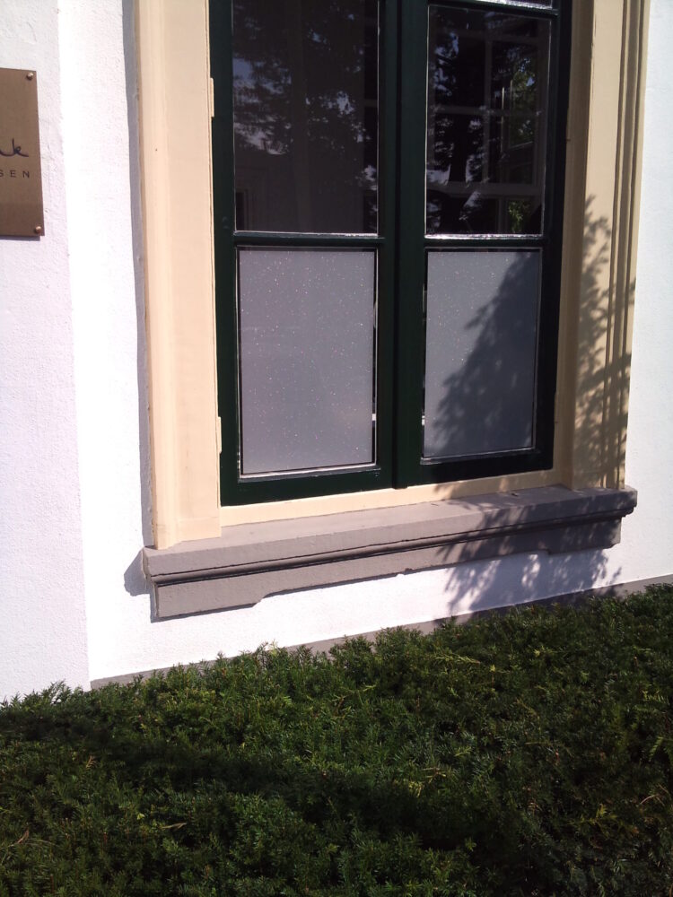 GSW® Etched 203-Frosted Sparkle