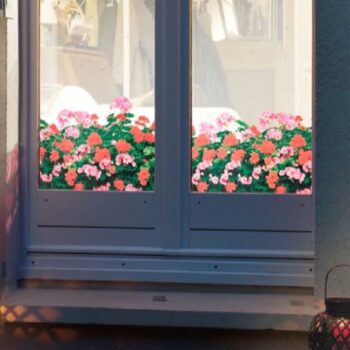 Raamfolie design decor DD 032 Geranium - folie bloem